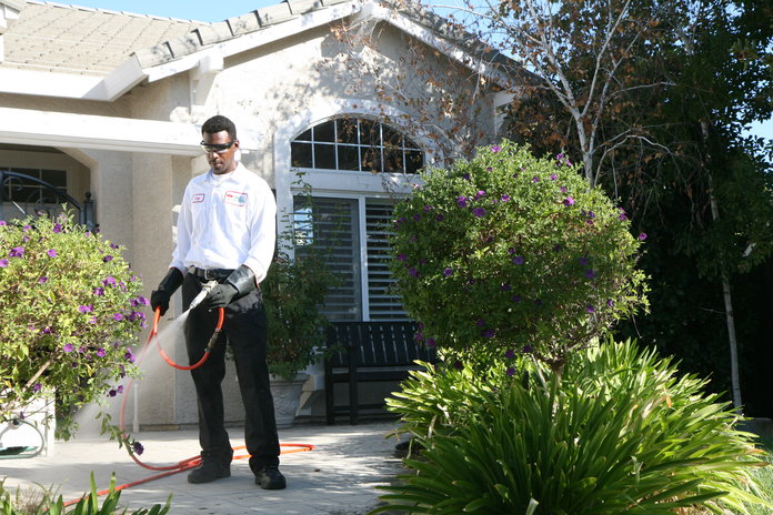 Pest Control