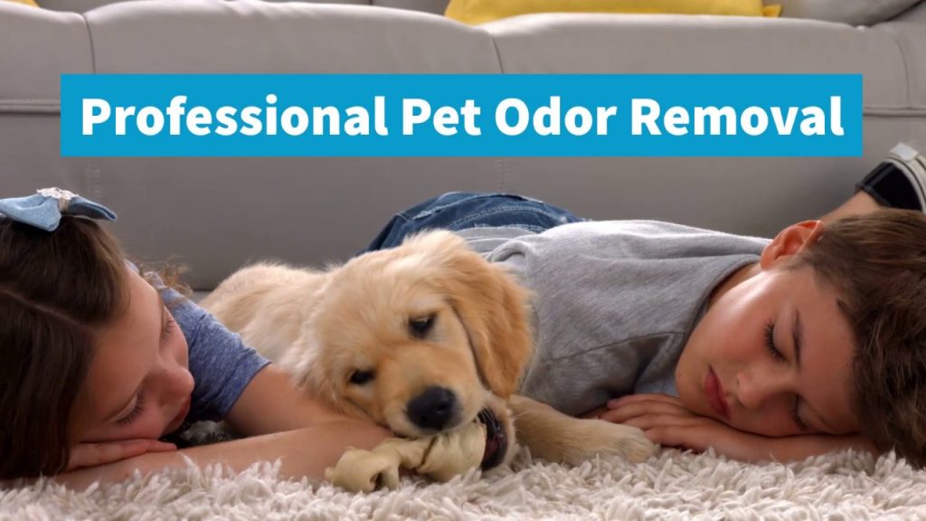 Odor Removal