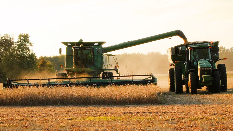 Software's Role in Agricultural